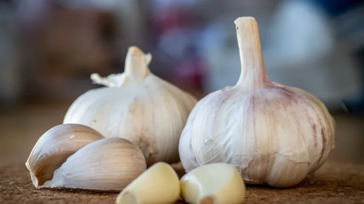Bau Mulut akibat Bawang Putih, Cara Mengatasinya Alami