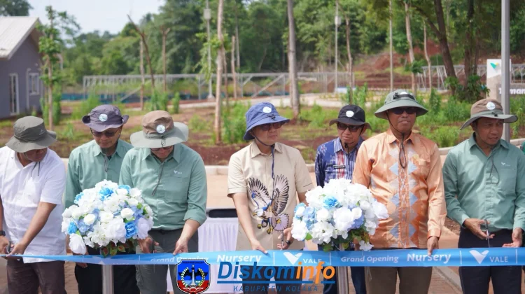 Fasilitas Nursery PT Vale Dukung Konservasi Tumbuhan Kolaka