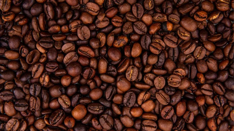 Hari Kopi Nasional Momentum Bangkitkan Kopi Nusantara