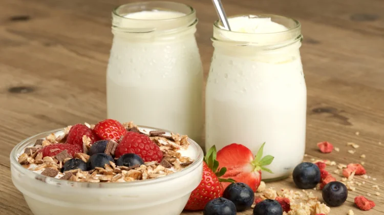 Manfaat Konsumsi Yogurt untuk Menjaga Kesehatan Pencernaan Selama Ramadan