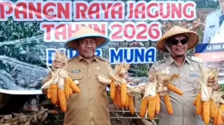 Pemkab Muna Target Perluas Areal Tanam Jagung Dukung Swasembada Pangan