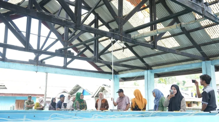 Balai Benih Udang Mata Targetkan Produksi 4 Juta Benur