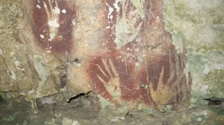 Rekor Dunia dari Sulawesi yang Jarang Diketahui