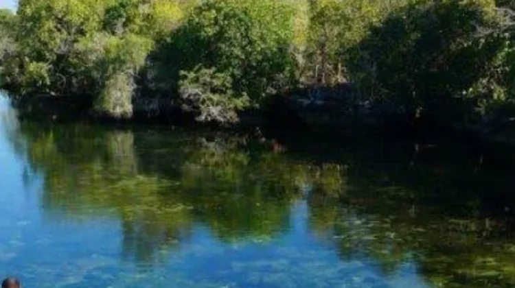 Keindahan Danau Sombano yang Masih Alami