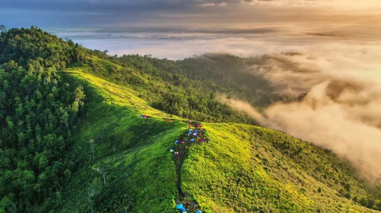 Puncak Ahuawali, Surga Tersembunyi Diatas Awan Konawe