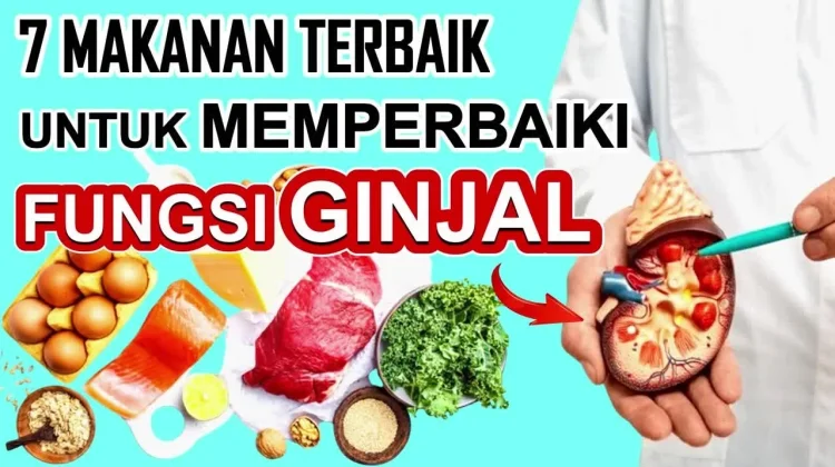 Jenis Makanan Mengatasi Fungsi Ginjal