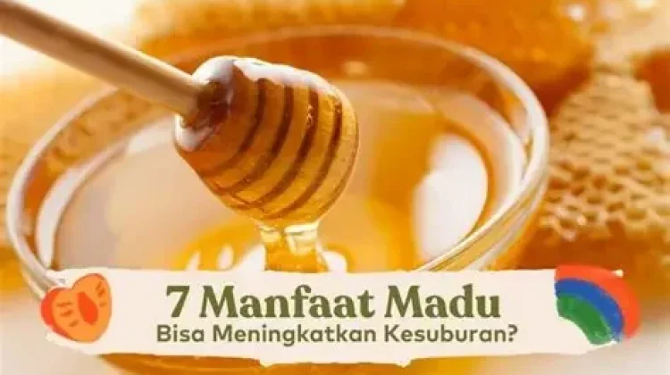Manfaat Madu bagi Kesehatan