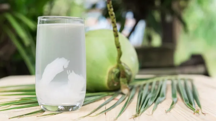 Manfaat Air Kelapa untuk Kesehatan Tubuh