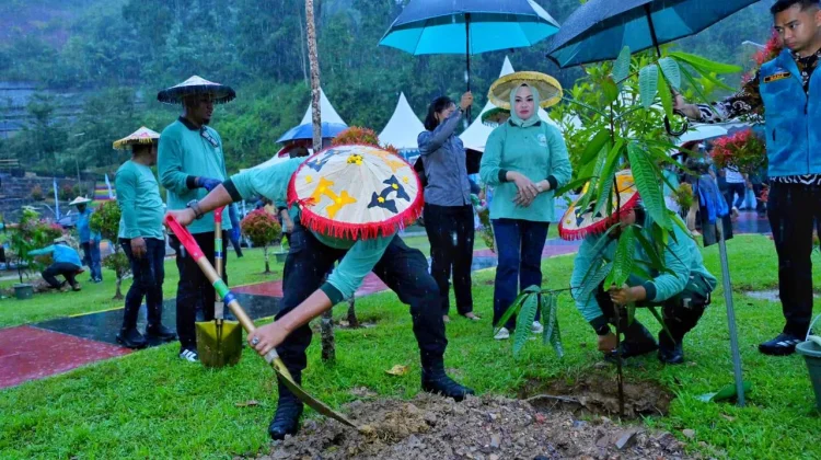 Delegasi UCLG ASPAC 2026 Tanam Pohon di Kebun Raya Kendari