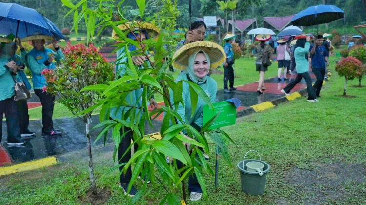 Wali Kota Menyerahkan Bibit Pohon Secara Simbolis Kepada Sekjen UCLG ASPAC