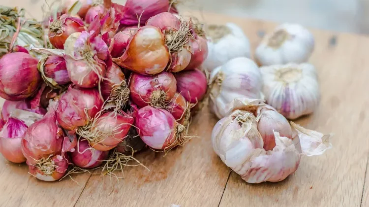 Cara Menyimpan Bawang   agar Tidak  Cepat Busuk