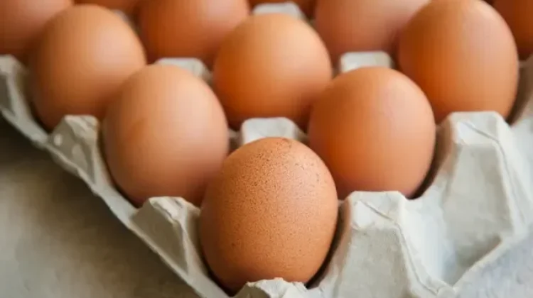 Makan Telur Mentah, Benarkah Sehat atau Malah Berbahaya?
