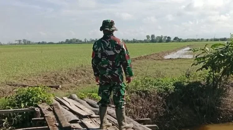 Pasca Banjir Konawe, Babinsa Monitor Pemulihan Akses di Watarema