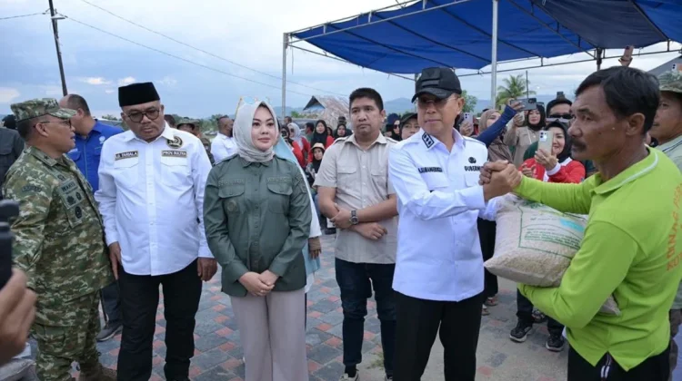 Gubernur Sultra dan Wali Kota Kendari Panen Padi di Baruga