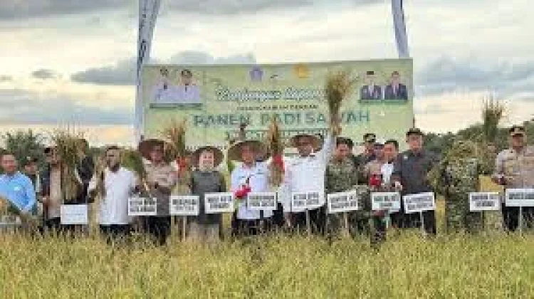 Gubernur Sultra Pimpin Panen Padi Pascabanjir Kendari