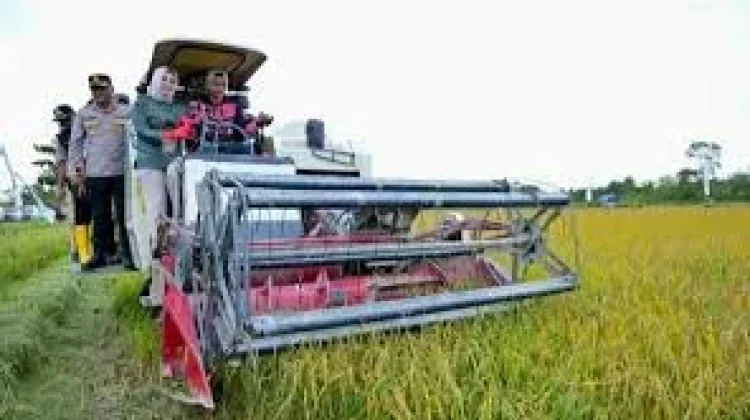Wali Kota Kendari Pastikan Pemulihan Lahan Pertanian Berjalan