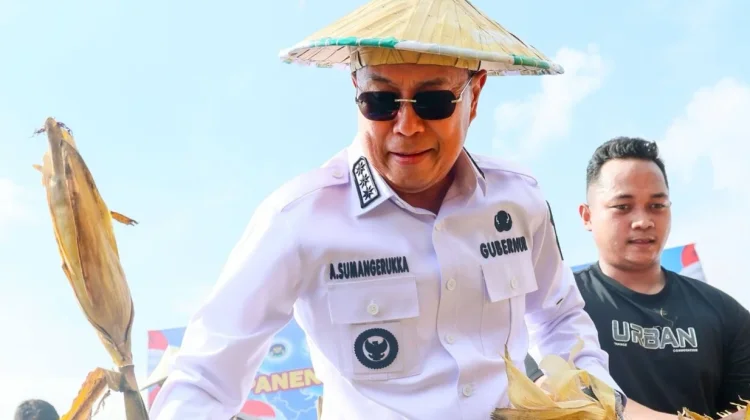 Pemprov Sultra Perkuat Dukungan Kelompok Tani lewat Panen Raya Jagung