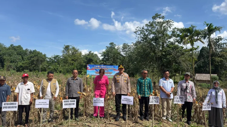 Pemkab Koltim Hadiri Panen Raya Jagung Serentak Kuartal II di Tirawuta