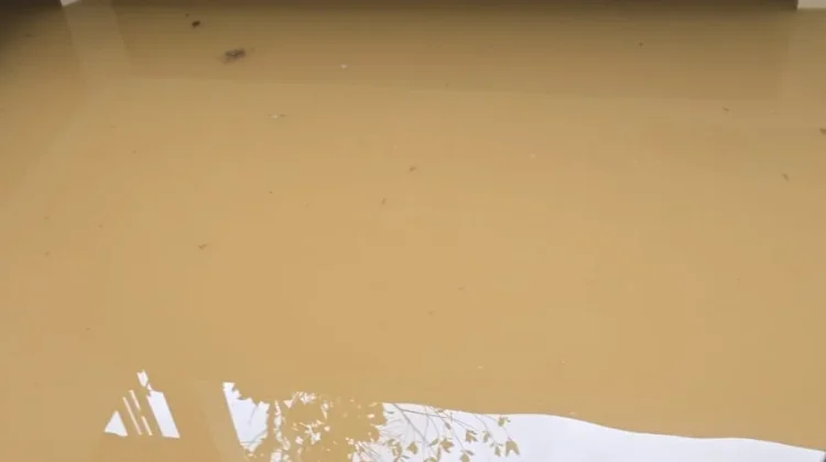 Warga Diimbau Waspada Penyakit Pascabanjir, Ini Tips air surut