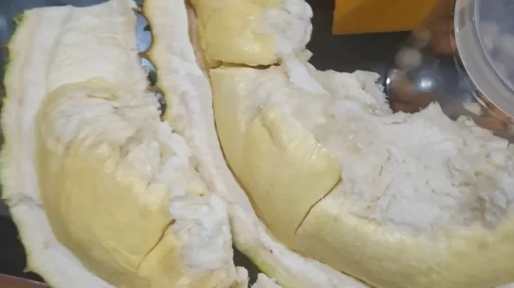Hangatkan Tubuh saat Hujan, Durian Jadi Favorit Warga Kendari di Malam Hari