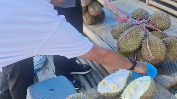 Hangatkan Tubuh saat Hujan, Durian Jadi Favorit Warga Kendari di Malam Hari