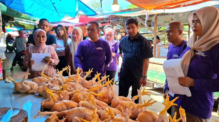 TPID Kendari Intensifkan Pengawasan Pangan jelang Idul Adha