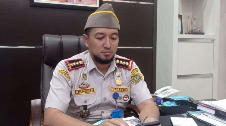 Lalu Lintas Hewan jelang Idul Adha di Sultra Meningkat