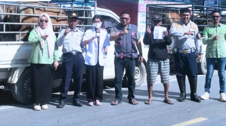 Pemkab Konsel Perketat Pengawasan Lalu Lintas Ternak