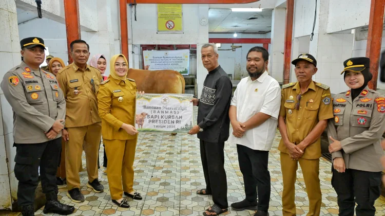 Wali Kota Kendari Serahkan Sapi Kurban Presiden Prabowo
