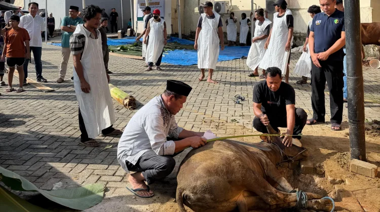 Bid Dokkes Polda Sultra Salurkan 187 Kantong Daging Kurban