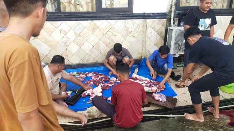 Kemenkum Sultra Sembelih dan Salurkan Hewan Kurban untuk Masyarakat