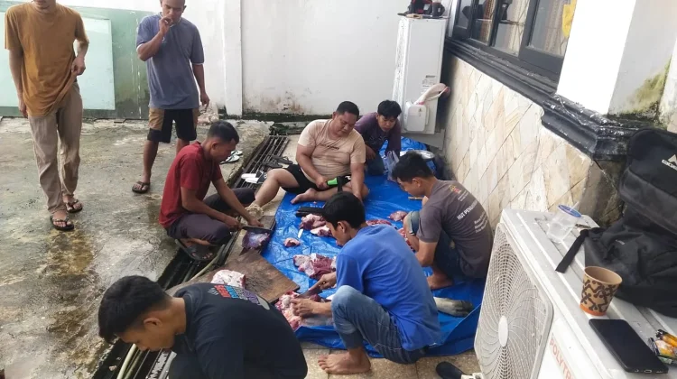 Sapi dan Kambing Kurban Kemenkum Sultra di Salurkan ke Warga