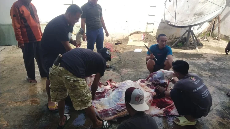 Kanwil Kemenkum Sultra Gelar Kurban dan Bagikan Pesan Solidaritas