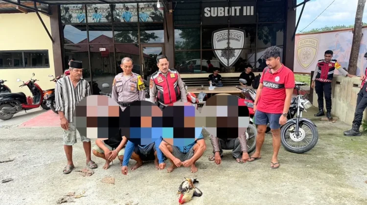 Polisi Bongkar Arena Sabung Ayam di Wawombalata Mandonga