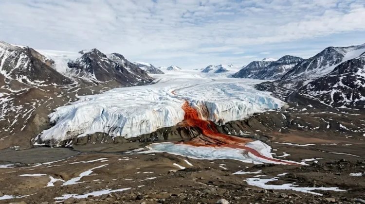 Blood Falls, Air Terjun Merah dari Benua Antarktika