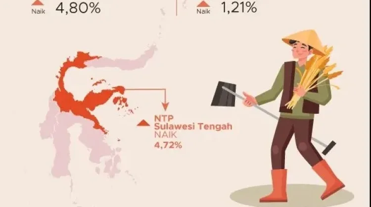 NTP Sultra Mei 2026 Naik Sebesar 3,55 persen
