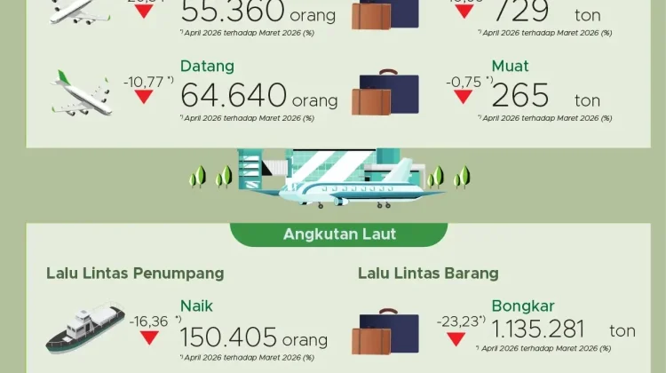 Penumpang Angkutan Udara Domestik di Sultra Turun 26,54 persen