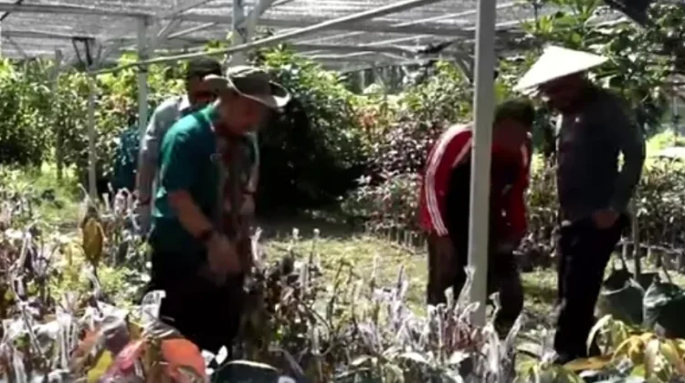 Akses Jalan Usaha Tani Tingkatkan Produktivitas Petani di Sultra