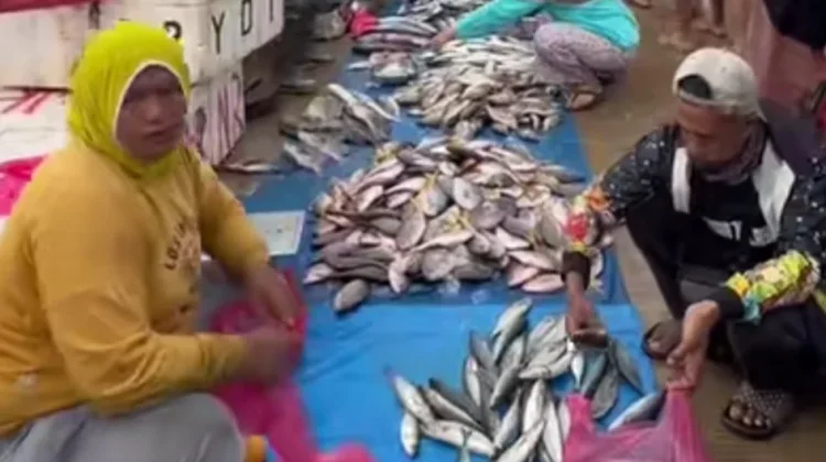 Perempuan Pesisir Sultra Tulang Punggung Ekonomi Maritim