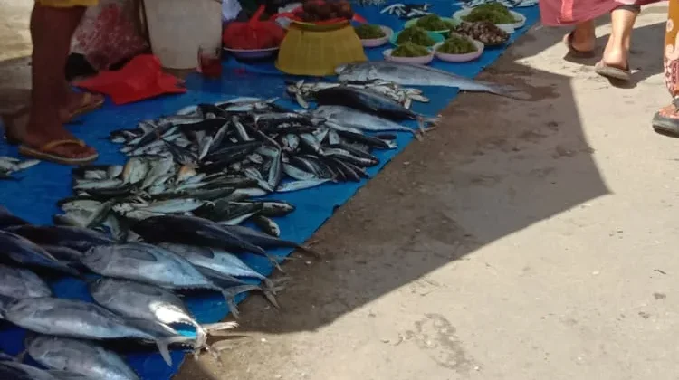 Angin Kencang Picu Lonjakan Harga Ikan di Kendari