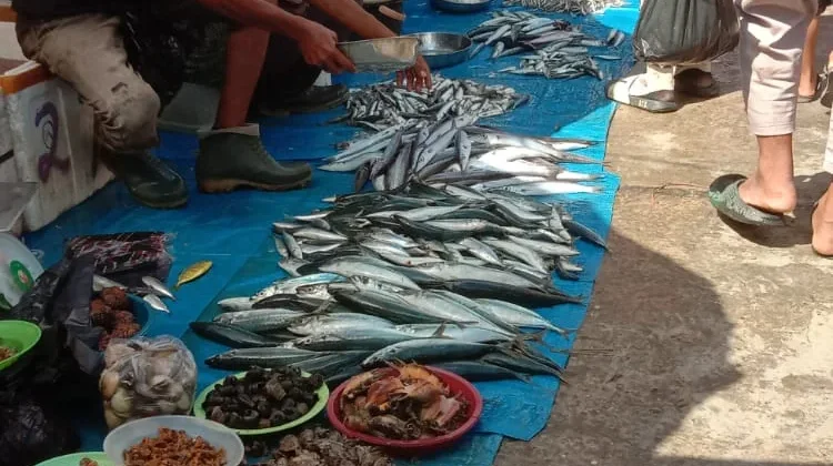 Cuaca Buruk Batasi Aktivitas Melaut Nelayan Kendari
