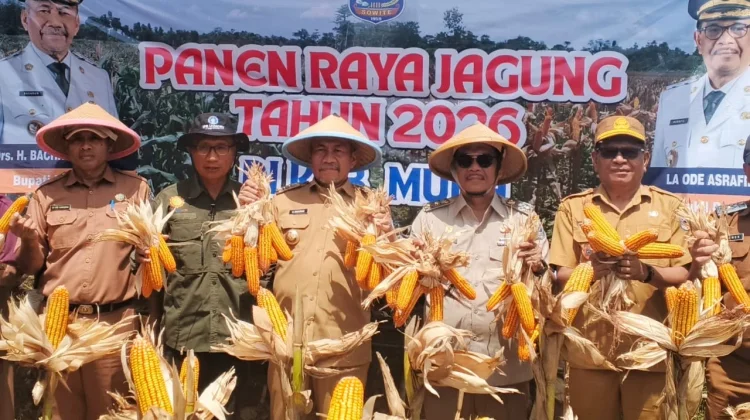Ekonomi Kabupaten Muna Tumbuh, Sektor Unggulan Jadi Motor Penggerak
