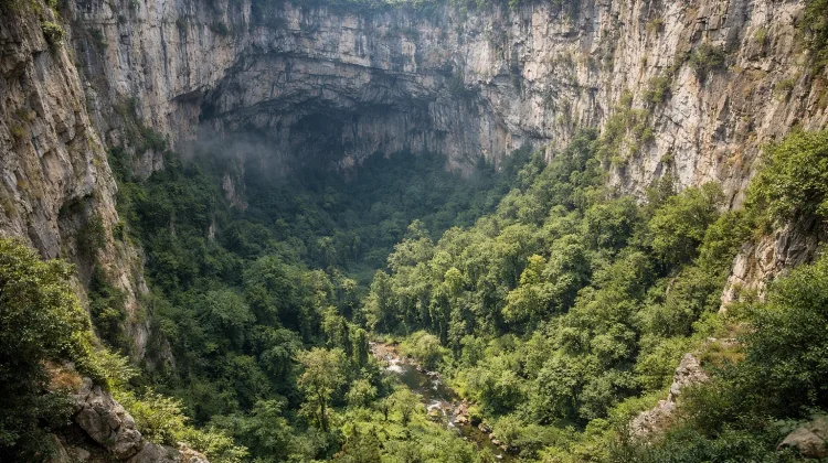 Tiankeng, Lubang Raksasa yang Menyimpan Hutan Tersembunyi