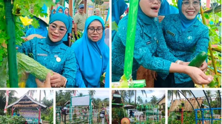 Kebun PKK Poleang tengah Dorong Ketahanan Pangan di Bombana