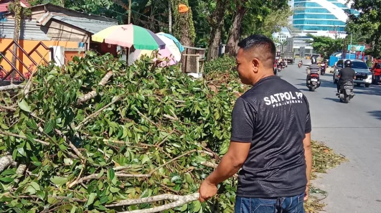 Pemangkasan Pohon Rawan Tumbang Depan Kodim Kendari Dimulai