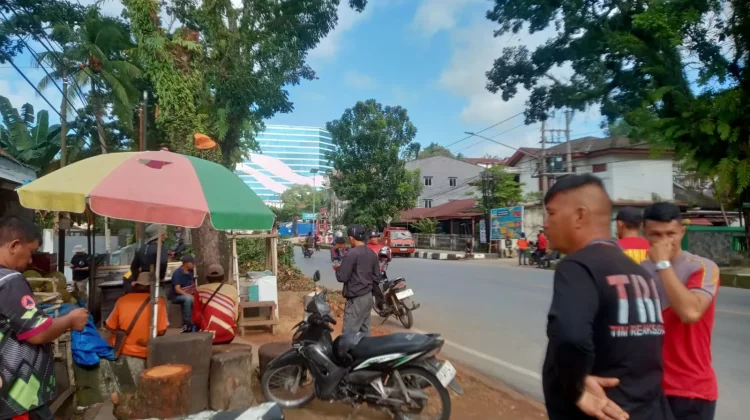 Kasat Pol PP Pastikan Keamanan Pemangkasan Pohon
