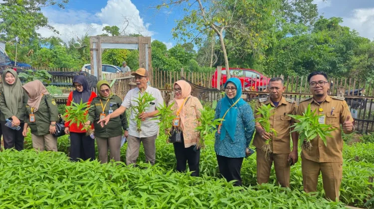 Camat Betoambari Dampingi Tim Penilai Lomba Pekarangan KEDAI