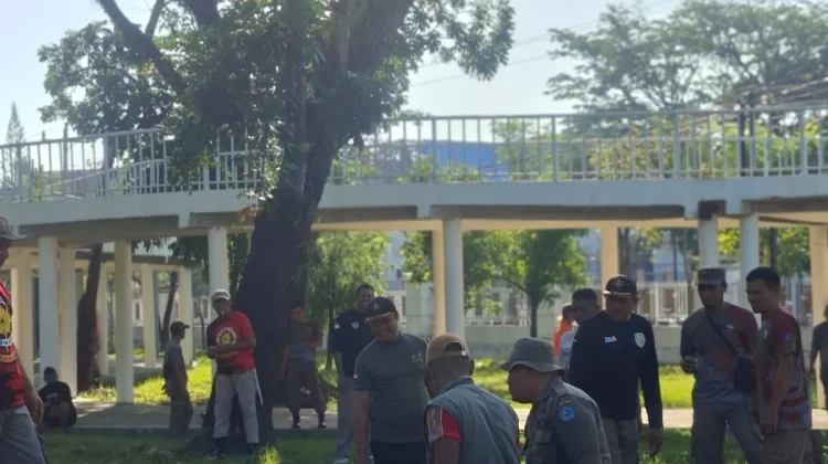 Kasatpol PP Kendari Ajak Warga Gotong Royong Bersihkan Taman Kota