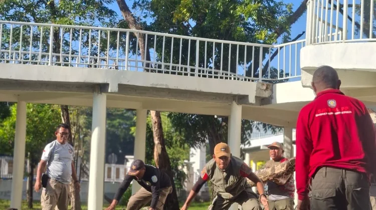 Kasatpol PP Kendari Ajak Warga Gotong Royong Bersihkan Taman Kota