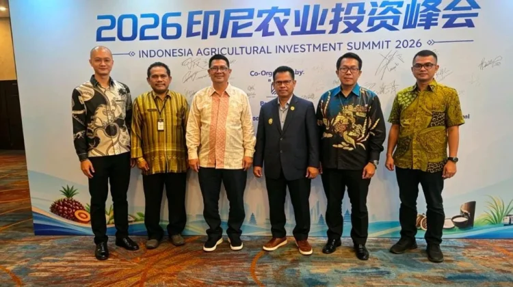 Kolaka Utara Undang Investor Garap Potensi Kelapa di Daerah